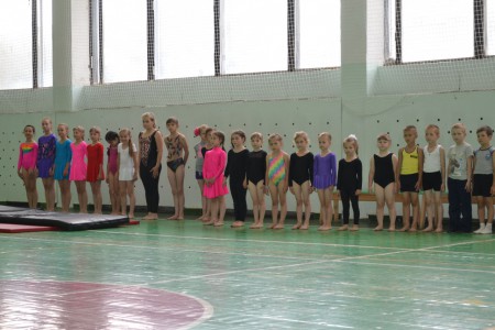 Соревнования по гимнастике.